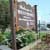 Buchan Consulting LLC Location Mount Prospect